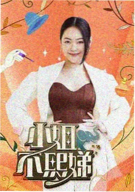 手艺人的冬天 纪录片海报